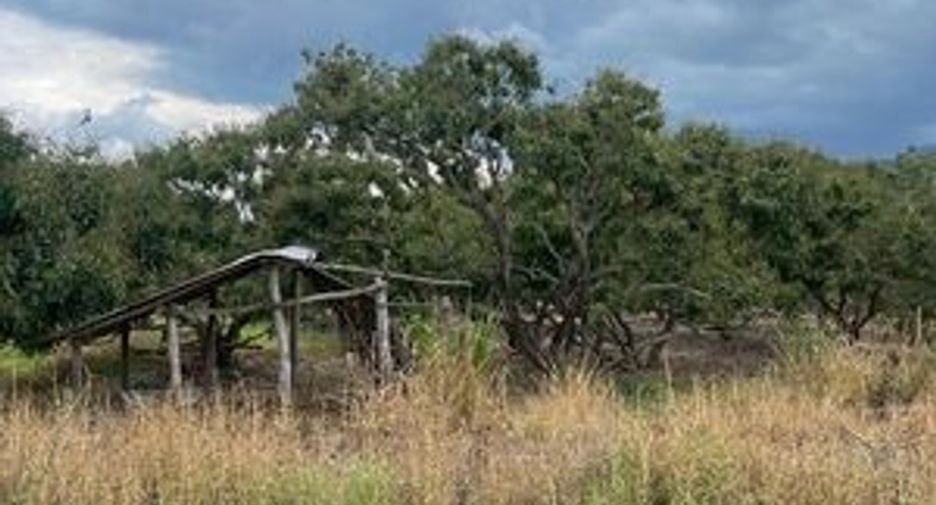 For sale land in Mae Wang, Chiang Mai