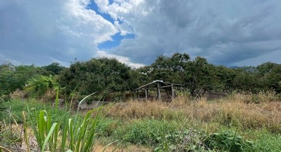 For sale land in Mae Wang, Chiang Mai