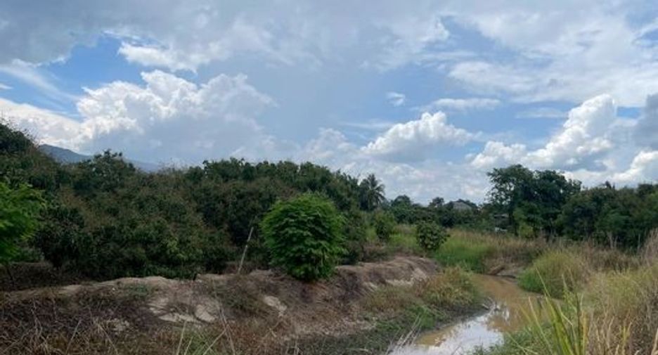 For sale land in Mae Wang, Chiang Mai