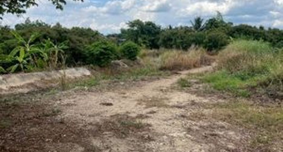 For sale land in Mae Wang, Chiang Mai