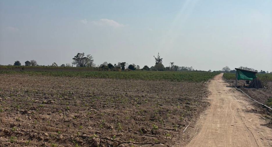 Grundstück zum Kauf in Mueang Kamphaeng Phet, Kamphaeng Phet