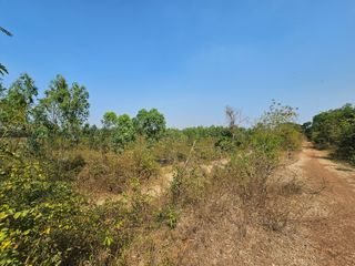 For sale land in Tha Yang, Phetchaburi