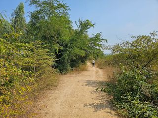 For sale land in Tha Yang, Phetchaburi