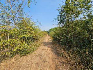 For sale land in Tha Yang, Phetchaburi