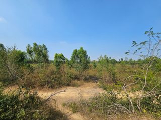 For sale land in Tha Yang, Phetchaburi
