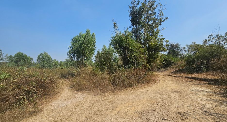 出售 土地 在 Tha Yang, Phetchaburi