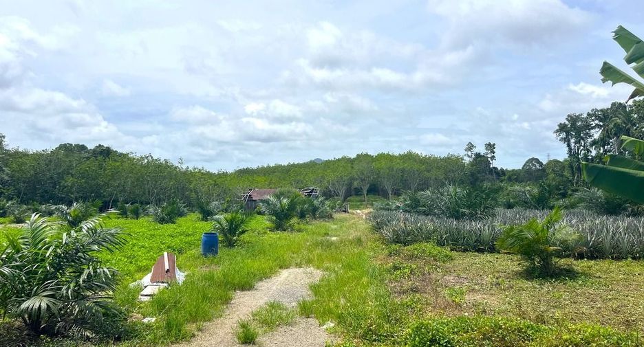 出售 土地 在 Takua Thung, Phangnga