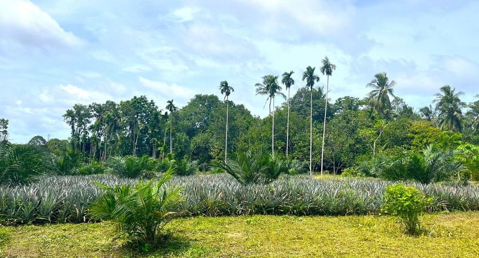 出售 土地 在 Takua Thung, Phangnga