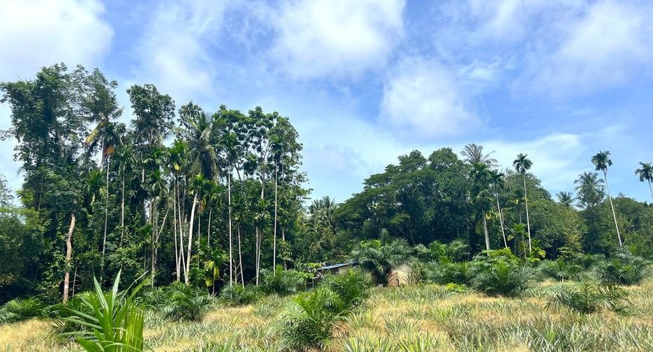 出售 土地 在 Takua Thung, Phangnga