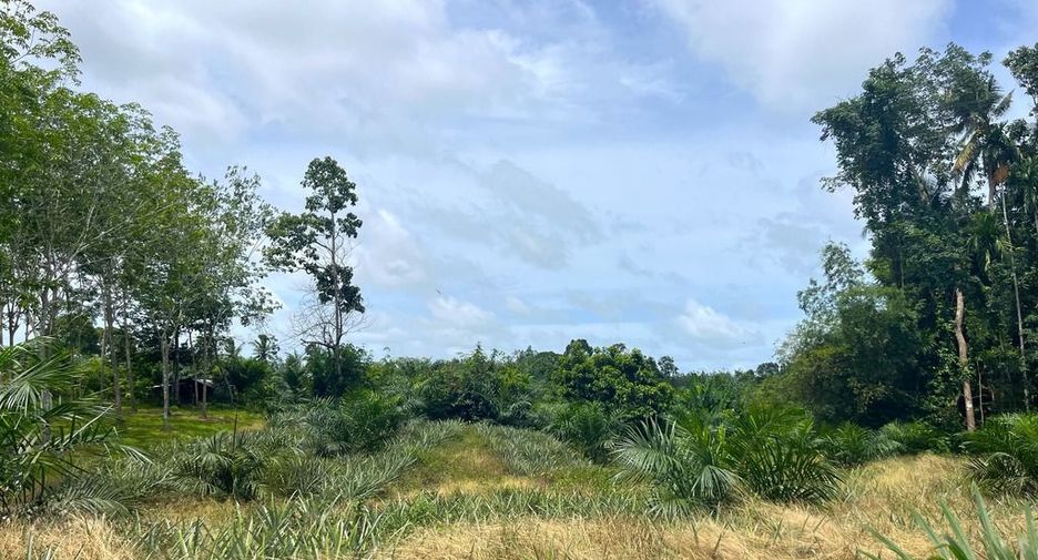 出售 土地 在 Takua Thung, Phangnga