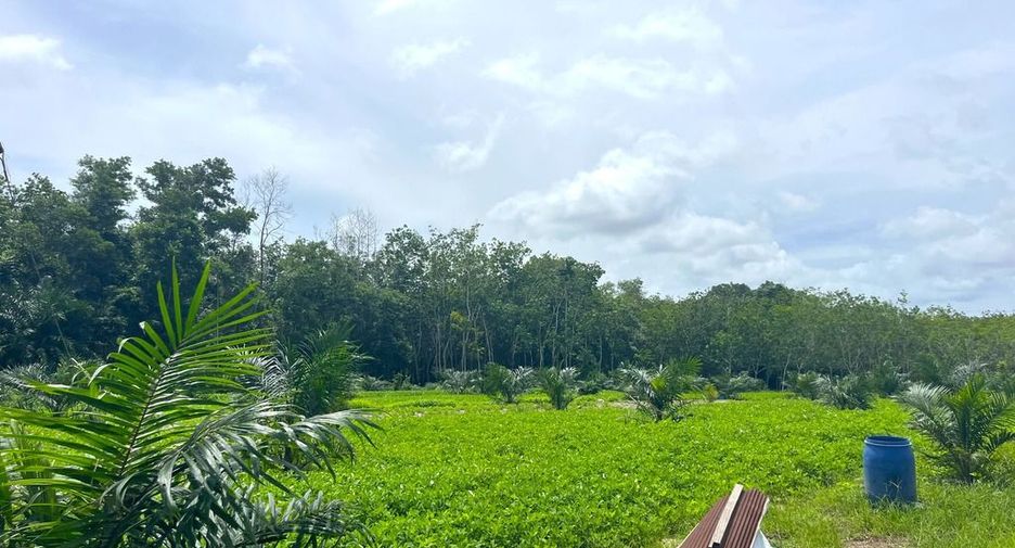 出售 土地 在 Takua Thung, Phangnga
