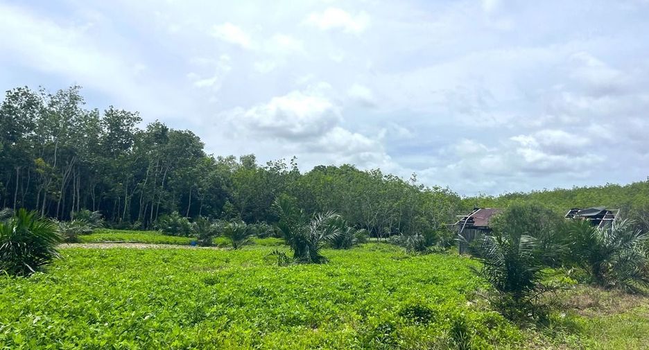 出售 土地 在 Takua Thung, Phangnga