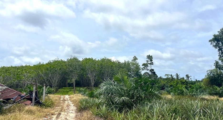 出售 土地 在 Takua Thung, Phangnga