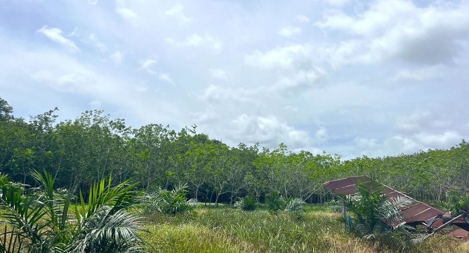 出售 土地 在 Takua Thung, Phangnga