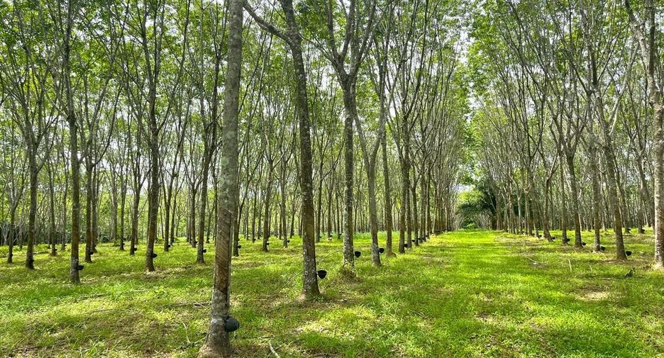 出售 土地 在 Takua Thung, Phangnga