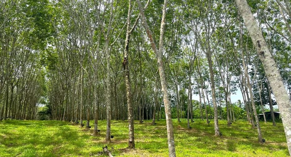 出售 土地 在 Takua Thung, Phangnga