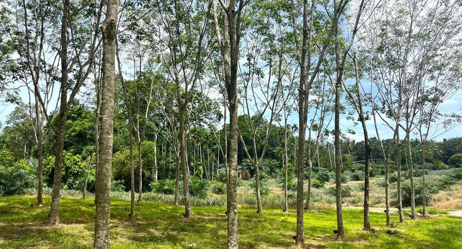 出售 土地 在 Takua Thung, Phangnga