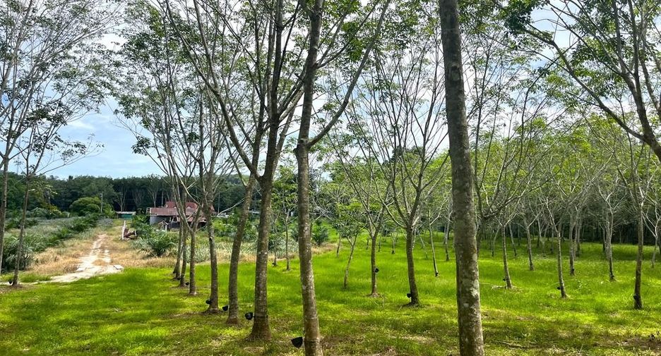 出售 土地 在 Takua Thung, Phangnga