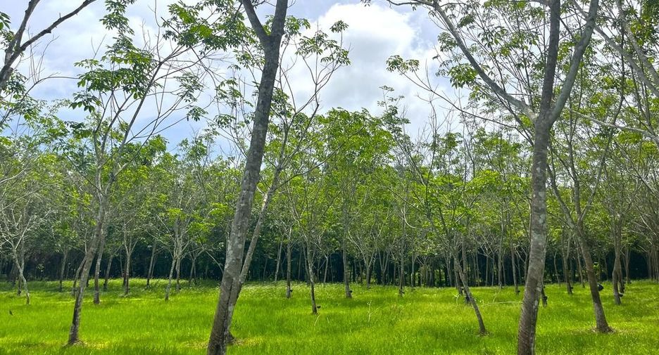 出售 土地 在 Takua Thung, Phangnga