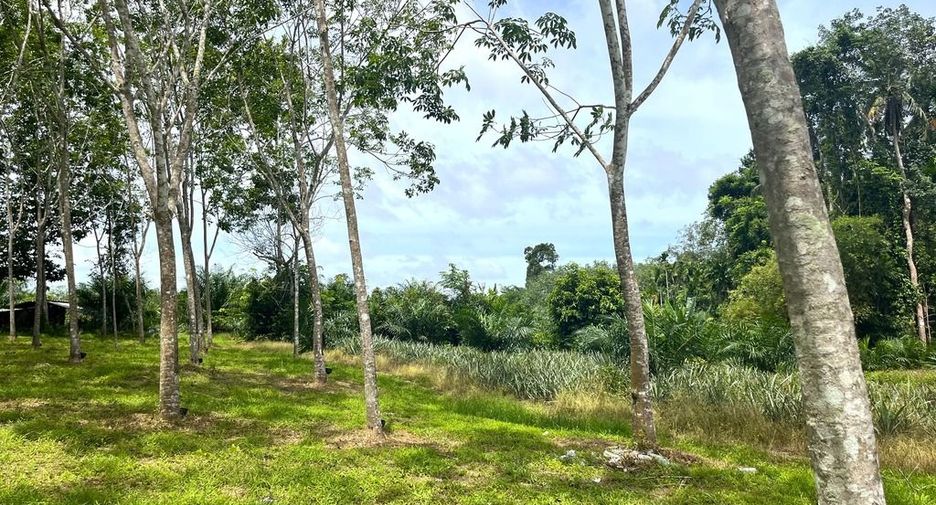 出售 土地 在 Takua Thung, Phangnga