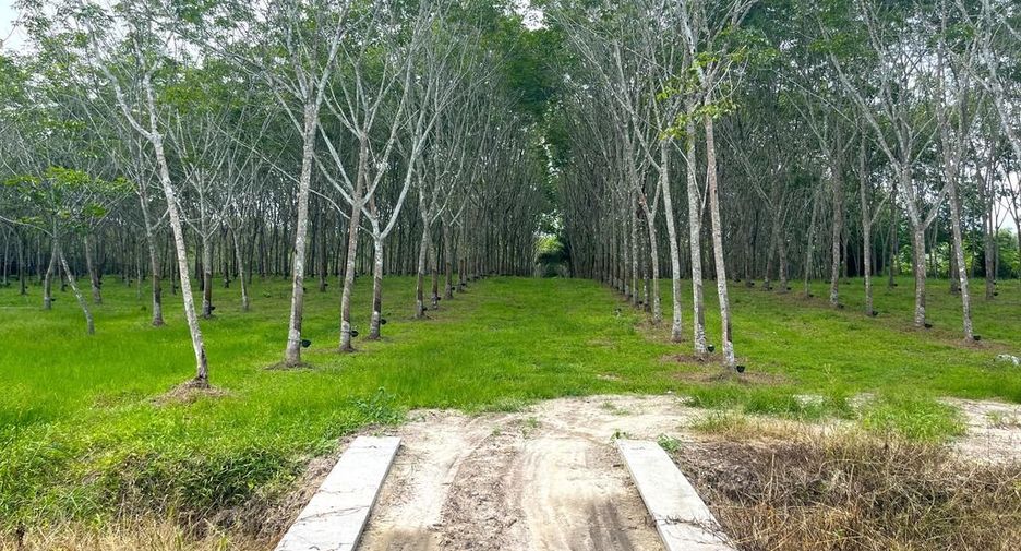 出售 土地 在 Takua Thung, Phangnga