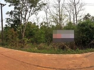For sale land in Phon Sawan, Nakhon Phanom