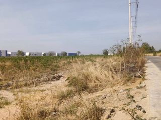 出售 土地 在 Pluak Daeng, Rayong