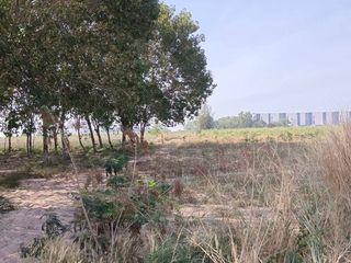 出售 土地 在 Pluak Daeng, Rayong