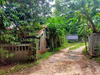 For sale land in At Samat, Roi Et