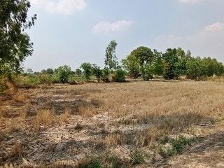 For sale land in At Samat, Roi Et