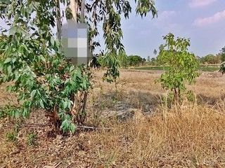 For sale land in At Samat, Roi Et