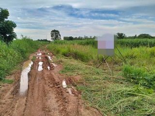 For sale land in Nong Bua Daeng, Chaiyaphum