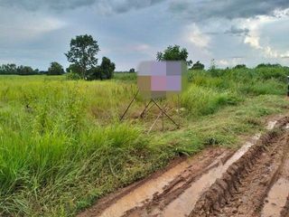 For sale land in Nong Bua Daeng, Chaiyaphum