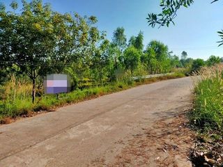 For sale land in Mueang Bung Kan, Bueng Kan