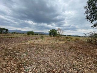 For sale land in Mueang Phayao, Phayao