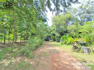 For sale 1 bed house in Don Chedi, Suphan Buri