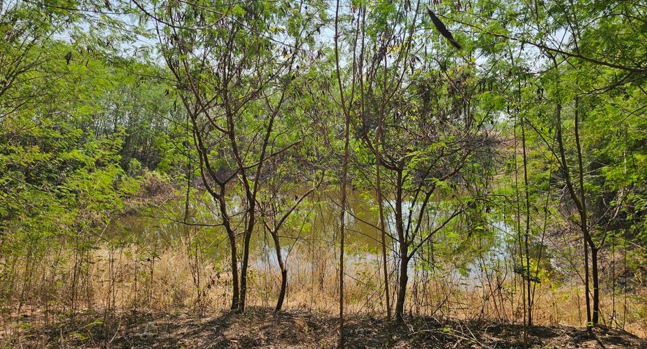 For sale land in Kaeng Khoi, Saraburi