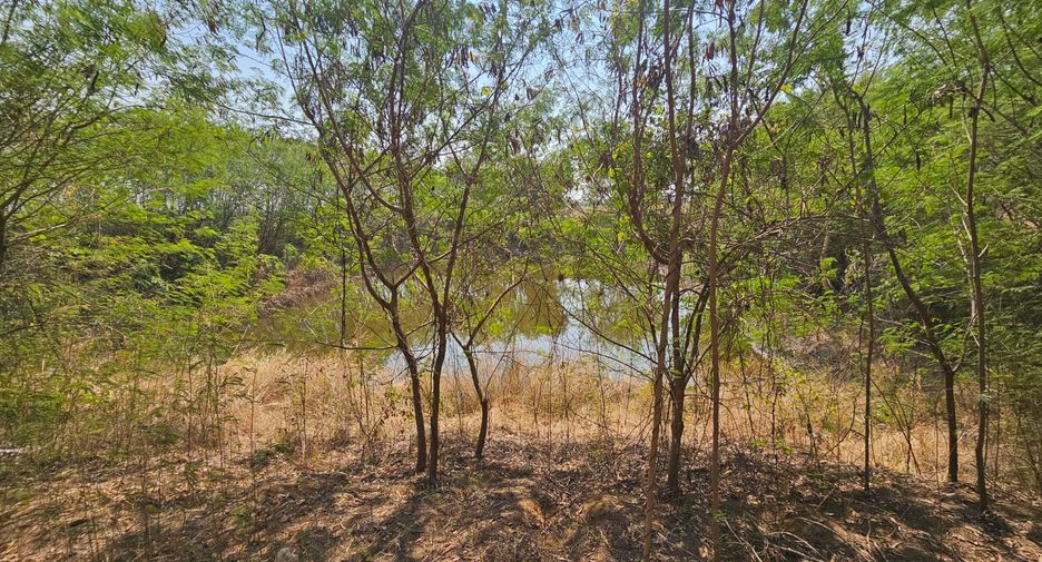 For sale land in Kaeng Khoi, Saraburi