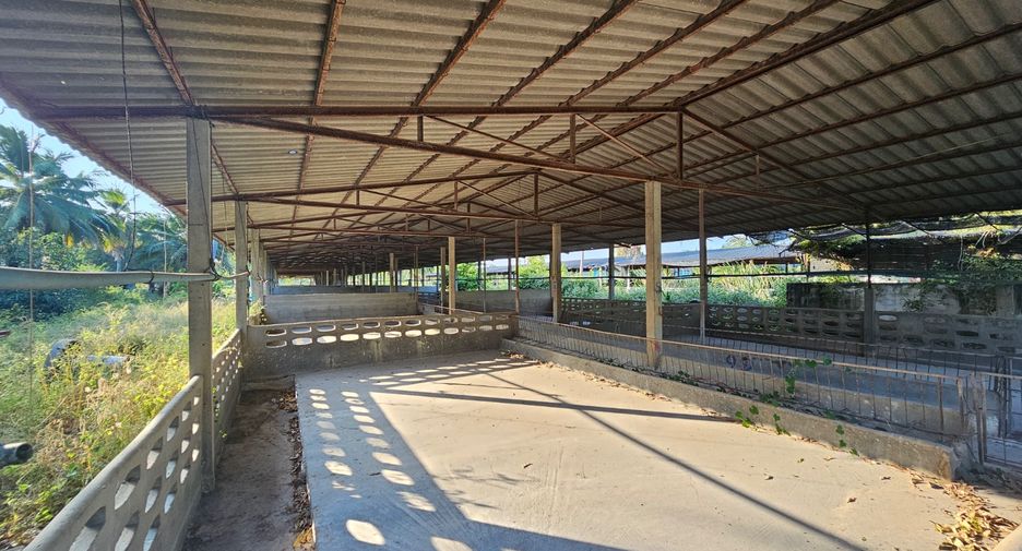 For sale land in Watthana Nakhon, Sa Kaeo