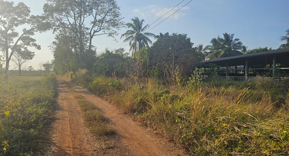 For sale land in Watthana Nakhon, Sa Kaeo