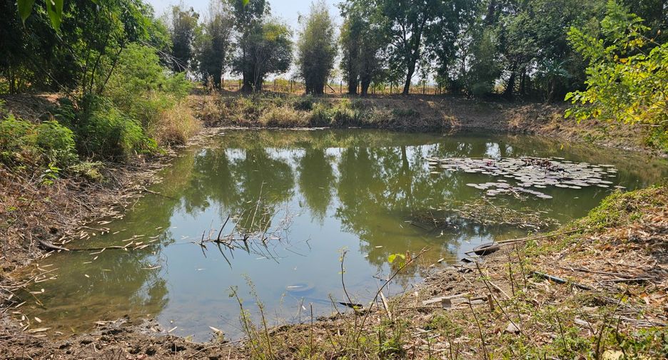 For sale land in Kaeng Khoi, Saraburi