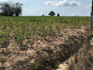 For sale land in Pluak Daeng, Rayong
