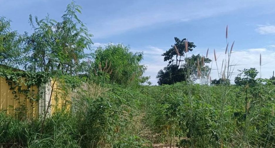 For sale land in Pluak Daeng, Rayong