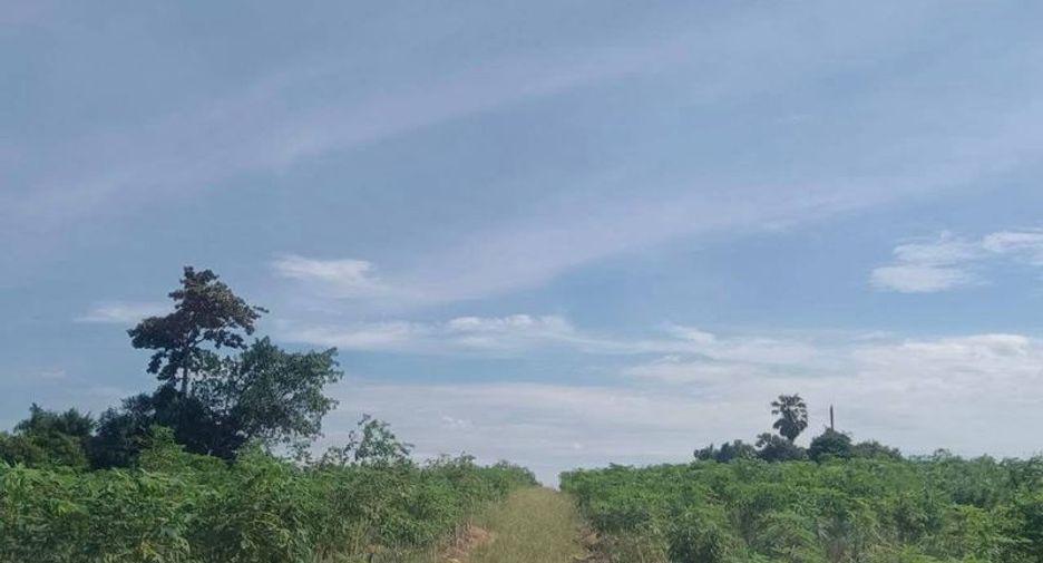 For sale land in Pluak Daeng, Rayong
