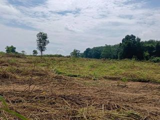 For sale land in Pluak Daeng, Rayong