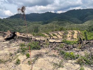 For sale land in Betong, Yala