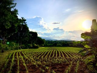 For sale land in Pak Chong, Nakhon Ratchasima