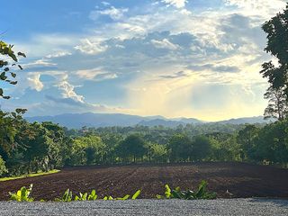 For sale land in Pak Chong, Nakhon Ratchasima