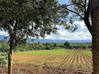 For sale land in Pak Chong, Nakhon Ratchasima