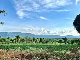 For sale land in Pak Chong, Nakhon Ratchasima